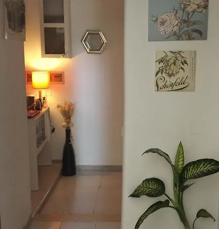Lol Отель типа 